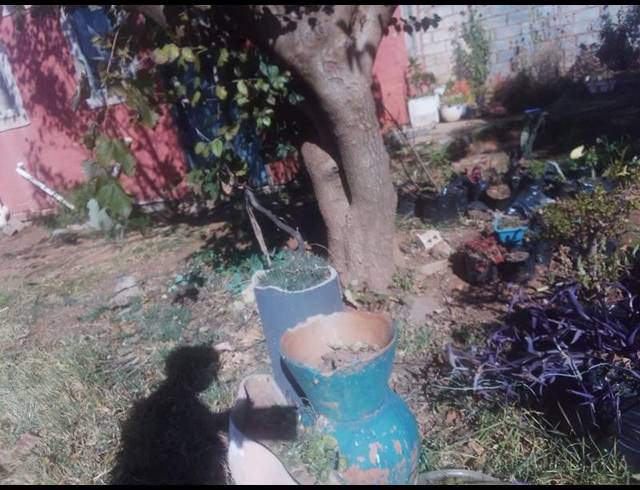 2 BEDROOM HOUSE FOR SALE IN LEHAE